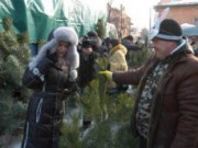 В городе готовятся к работе 15 елочных ярмарок елочная ярмарка