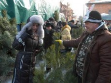 елочная ярмарка