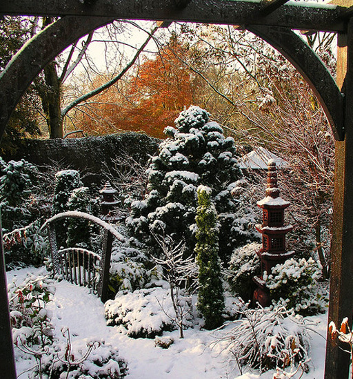 зимние работы дача зимние работы дача