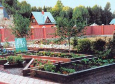 идеи огорода