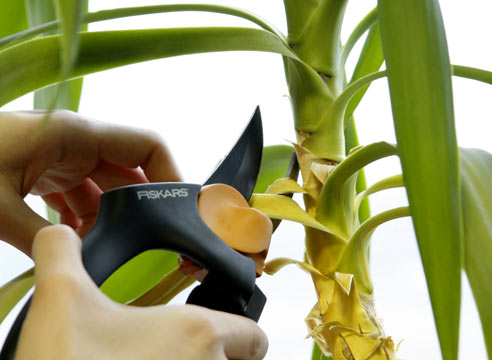 обрезка растений