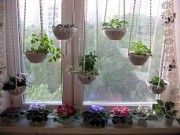 Растения как часть домашнего интерьера цветы интерьер