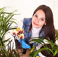 Как растения влияют на наше здоровье? расстение здоровье