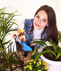 расстение здоровье