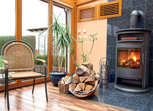 растения уют