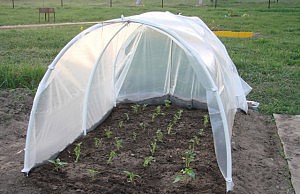 Хотите ранний урожай – соорудите парник парник