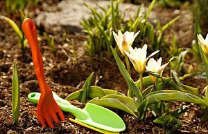 Первые работы в саду перед наступлением тепла весна