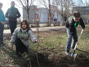 благоустройство