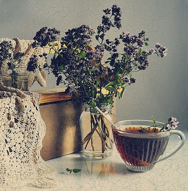 душица отвар