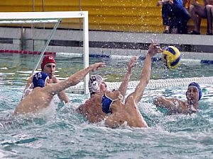 водное поло водное поло