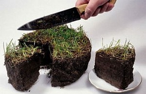 В управлении архитектуры проводили обыск земля