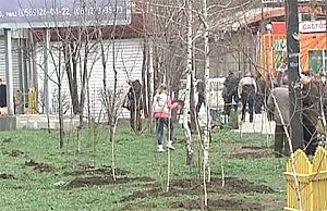 Сад памяти ветеранов Второй Мировой появился в Днепродзержинске алея