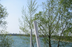 Снова о Голосном, Морохове и «Сарбоне»