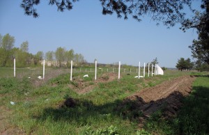 Максим Голосний: «Вітаю: нас вважають бидлом!»