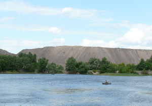 коноплянка