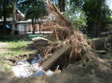 мусор дворы