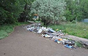 Сафронов снова требует навести порядок в городе мусор