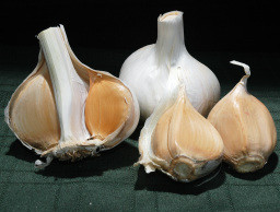 Рокамболь – незаменимый в салате рокамболь