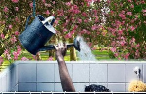 Сооружаем душ и туалет на участке душ