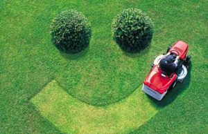 Жители Баглея косят траву за собственные средства газонокосилка