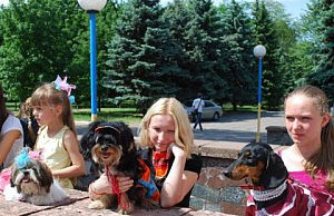 Публику в Днепродзержинске развлекали наряженными собаками выставка собак