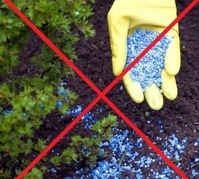 огород химия