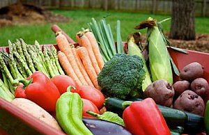 Как обойтись без химии на огороде? огород химия