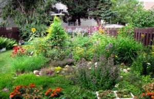 Миниатюрный дачный участок – неудобство или компактность? маленький участок