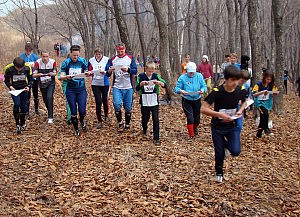 ориентирование