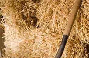 Особенности ручной заготовки сена сено