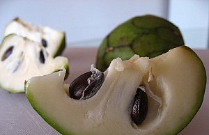 Черимойа – экзотический фрукт, о котором вы не слышали черримойя