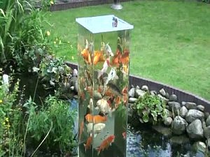 аквариум сад