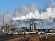 баглейкокс