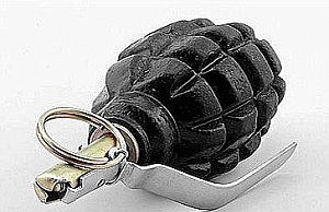 Милиция обратилась к горожанам граната