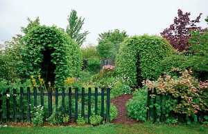 Дизайн сада со вкусом: советы эксперта сад