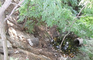 «Голубое озеро» засоряют неизвестными сбросами озеро загрязнение экология