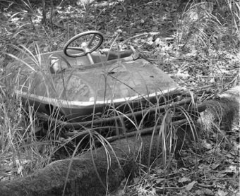 парк аттракцион