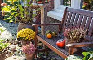 Как украсить сад в холодную пору года?