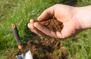 Что делать с кислой почвой? земля