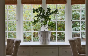 Уход за цитрусовыми в холодное время года