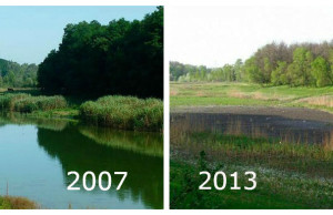В Самышиной балке озера больше нет балка