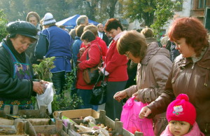 В Днепродзержинске проведут сельскохозяйственные ярмарки ярмарка