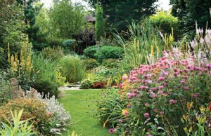 Затишье в саду – пора заняться планированием