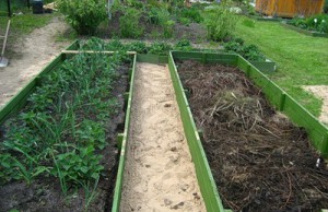 Теплая грядка среди осени