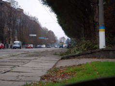 Политическая неразбериха город