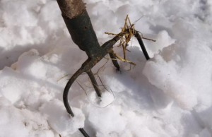 Коммунальщики уже «готовы» к зиме