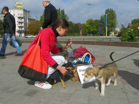 протест собаки