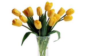 Срезанные цветы – как продлить их жизнь?