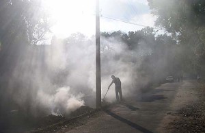 Как жители городов травят сами себя (видео)