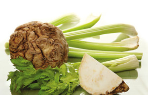 Сельдерей – король открытого и закрытого грунта